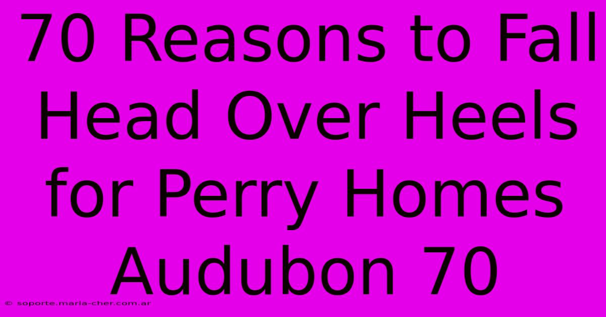 70 Reasons To Fall Head Over Heels For Perry Homes Audubon 70