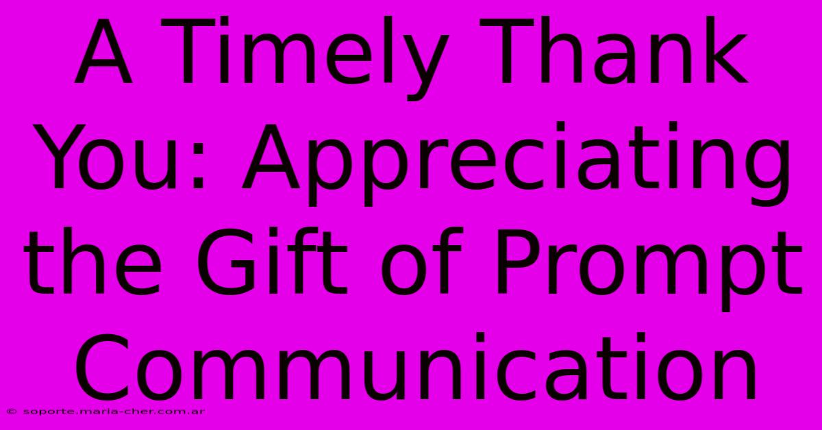 A Timely Thank You: Appreciating The Gift Of Prompt Communication