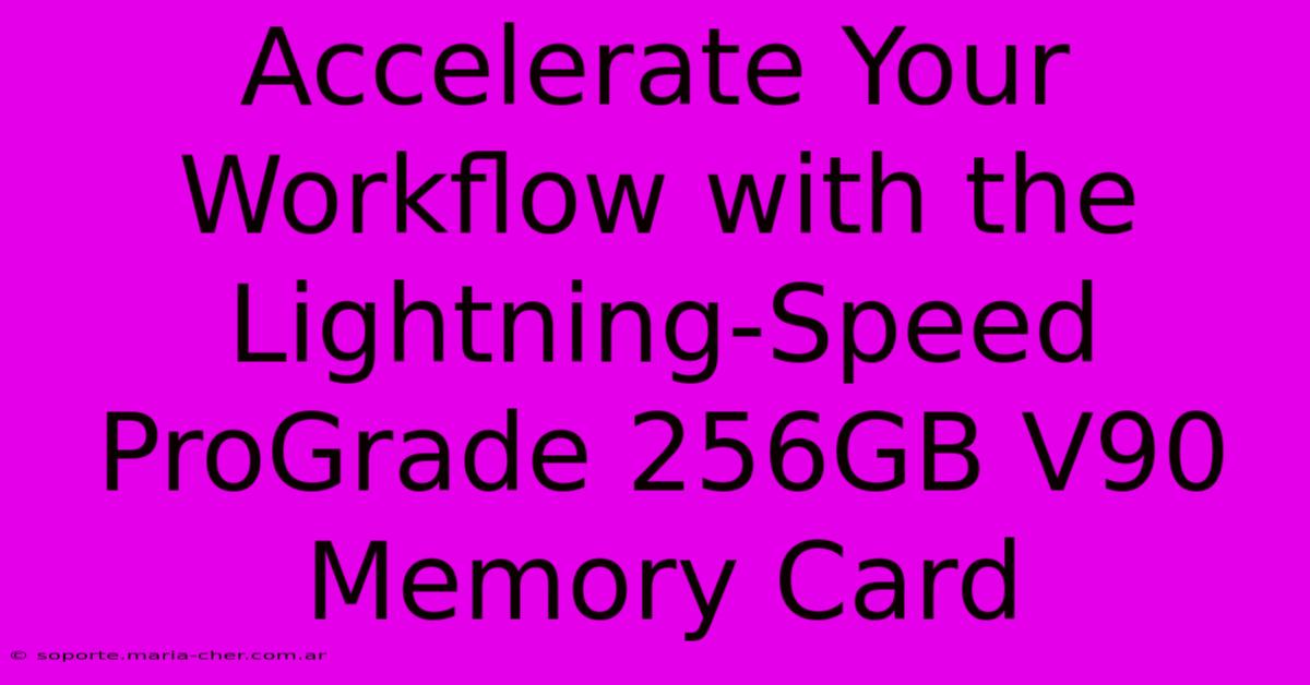 Accelerate Your Workflow With The Lightning-Speed ProGrade 256GB V90 Memory Card