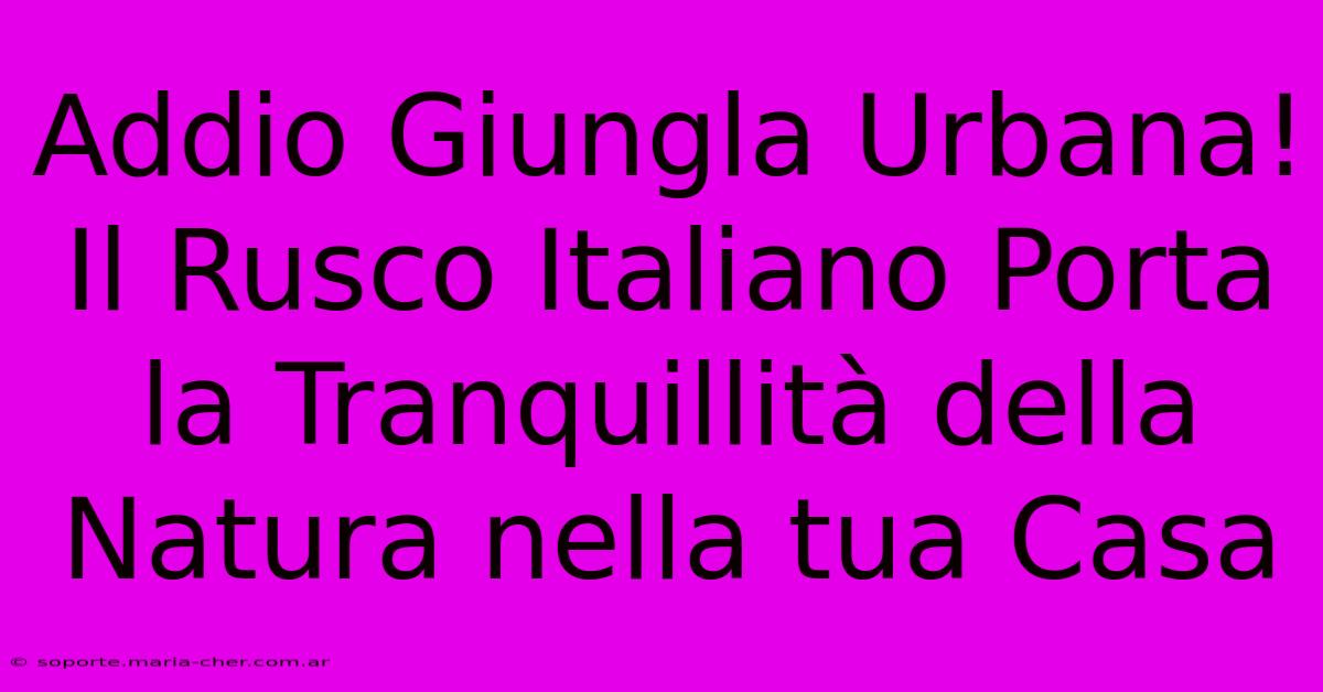 Addio Giungla Urbana! Il Rusco Italiano Porta La Tranquillità Della Natura Nella Tua Casa