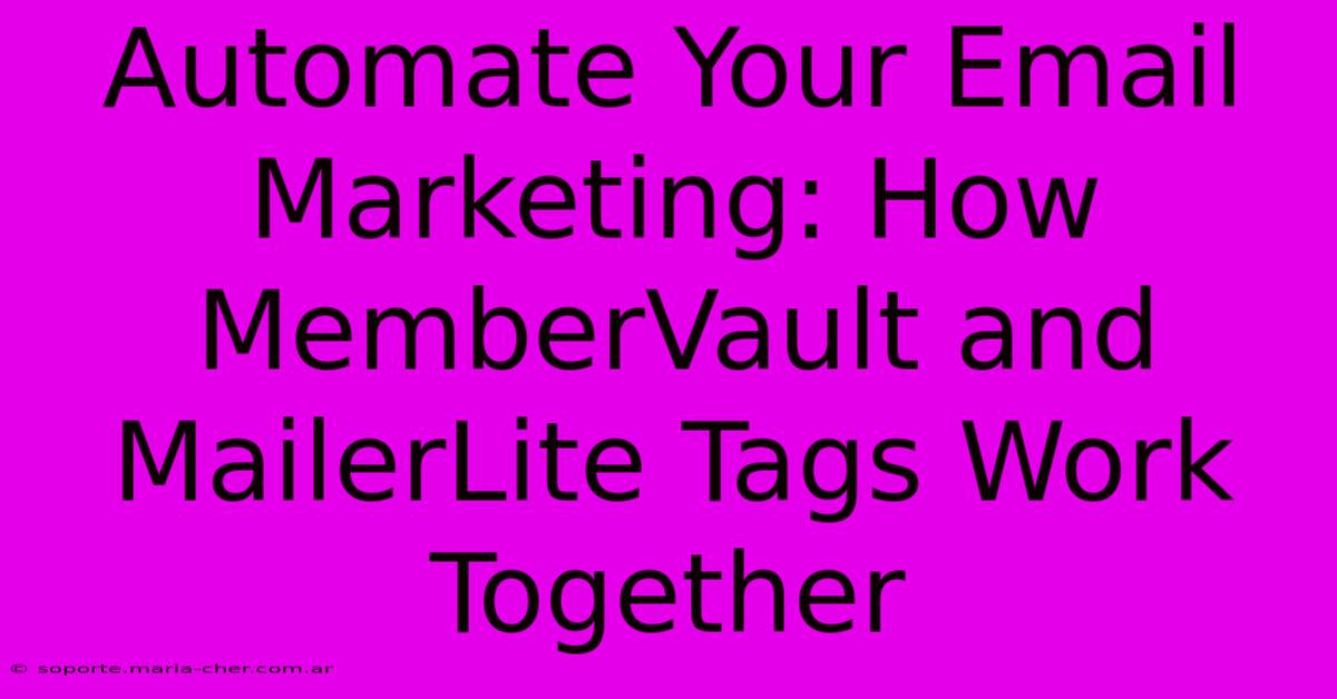 Automate Your Email Marketing: How MemberVault And MailerLite Tags Work Together