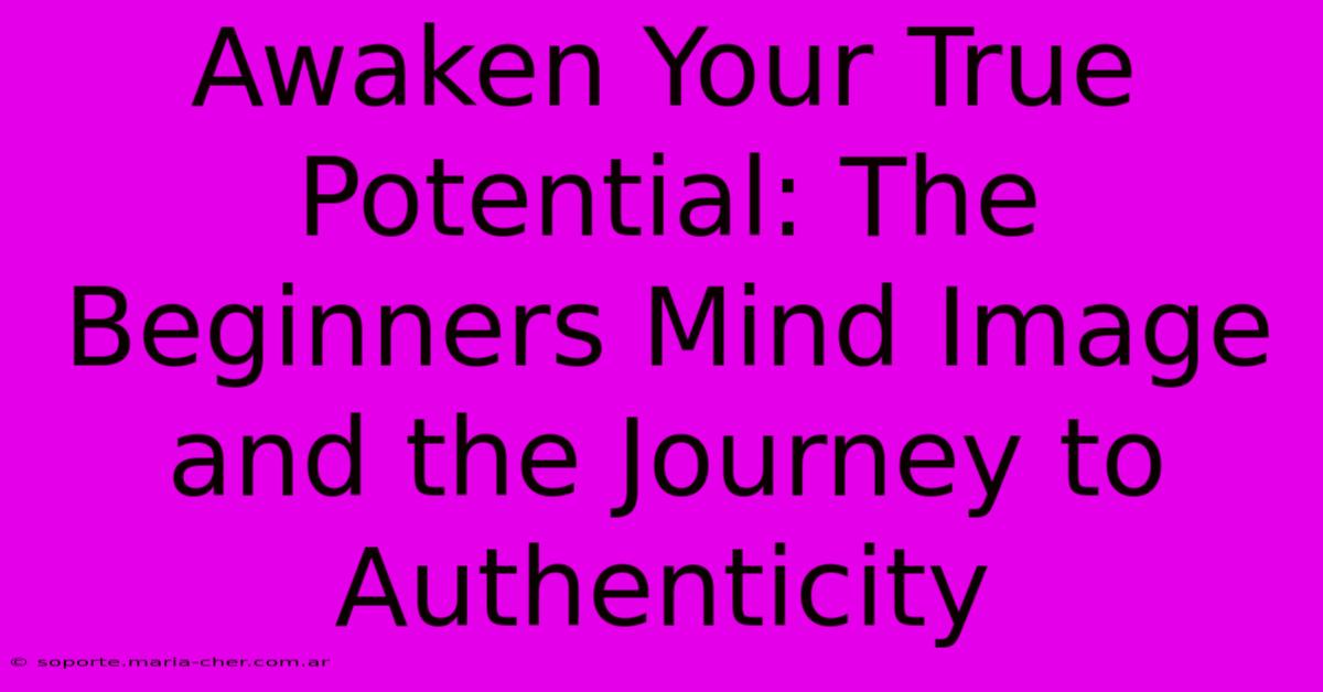 Awaken Your True Potential: The Beginners Mind Image And The Journey To Authenticity