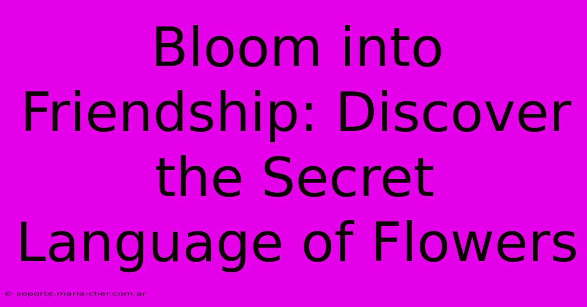 Bloom Into Friendship: Discover The Secret Language Of Flowers