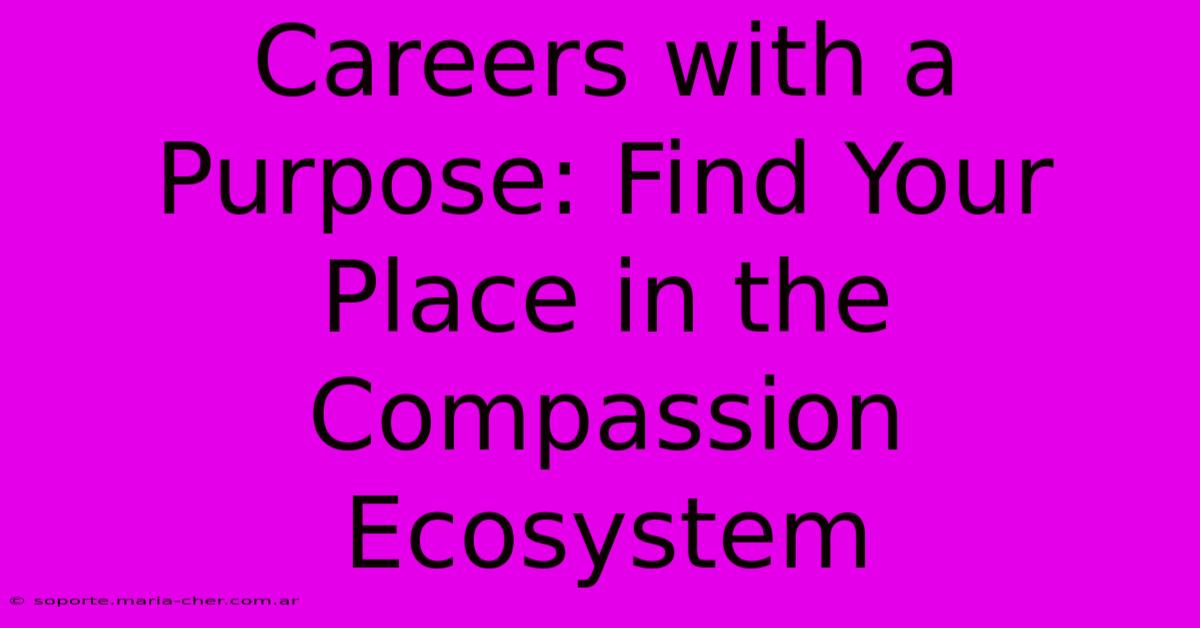 Careers With A Purpose: Find Your Place In The Compassion Ecosystem