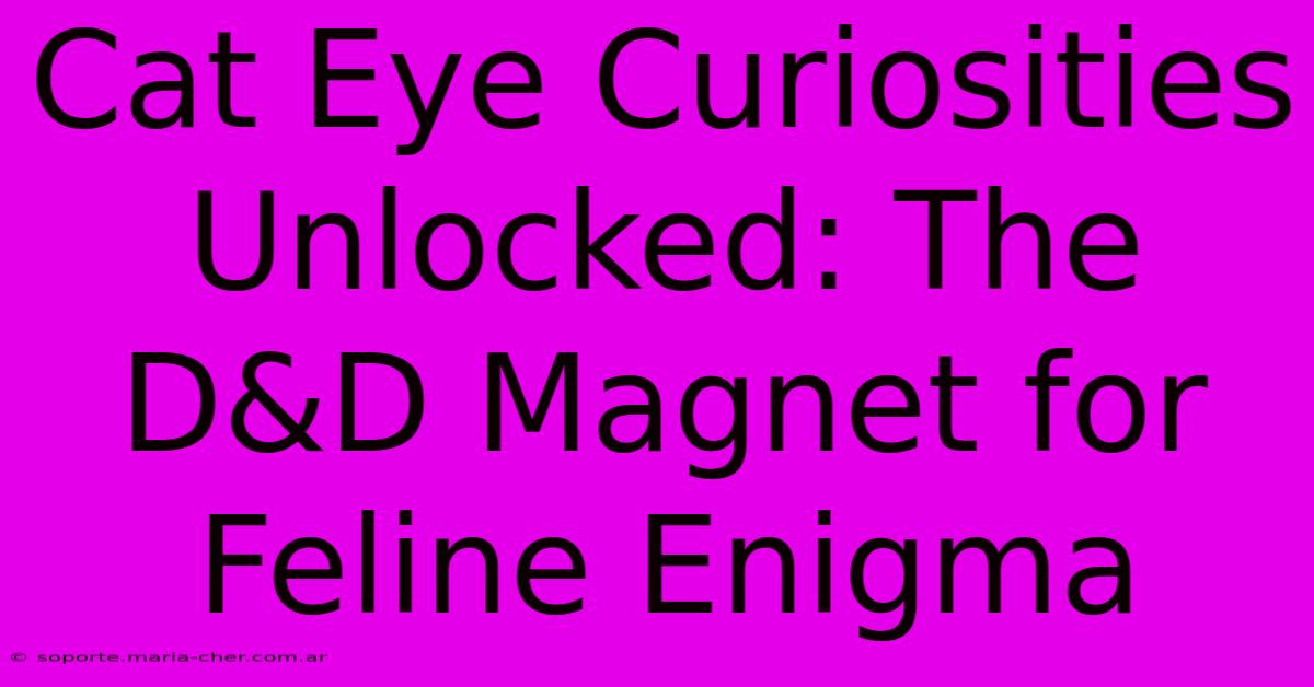 Cat Eye Curiosities Unlocked: The D&D Magnet For Feline Enigma