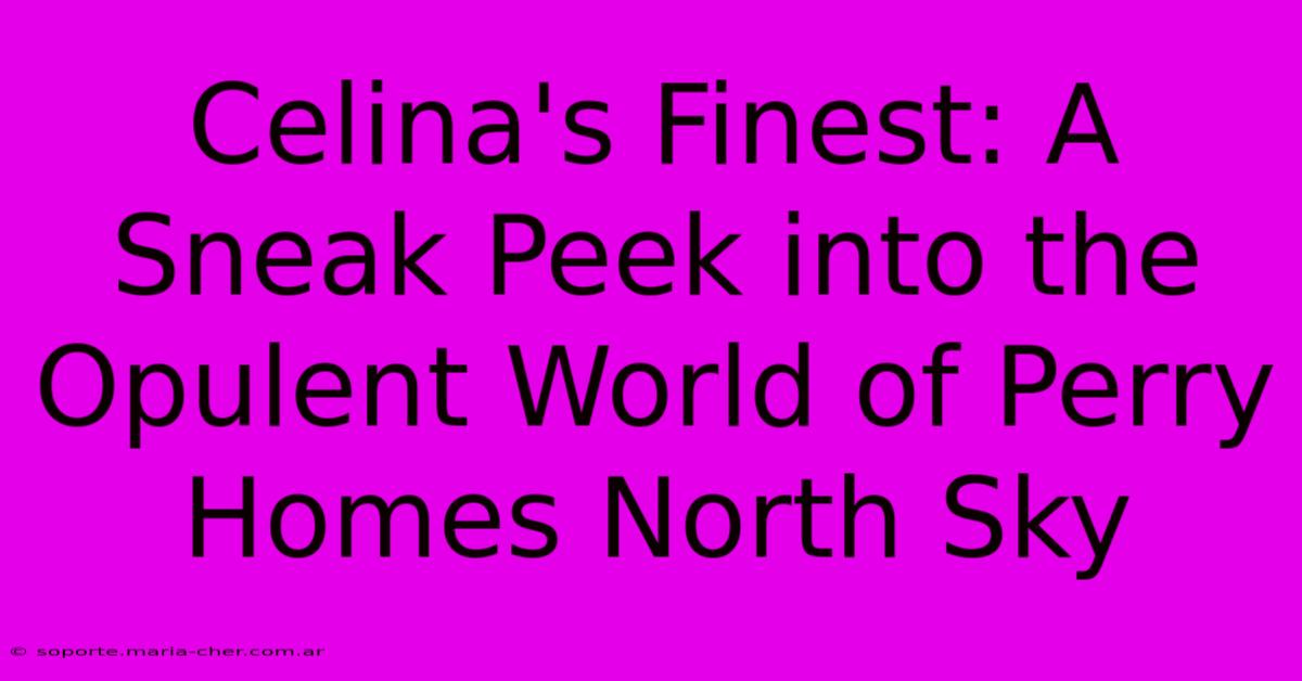 Celina's Finest: A Sneak Peek Into The Opulent World Of Perry Homes North Sky