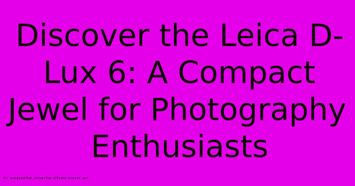 Discover The Leica D-Lux 6: A Compact Jewel For Photography Enthusiasts