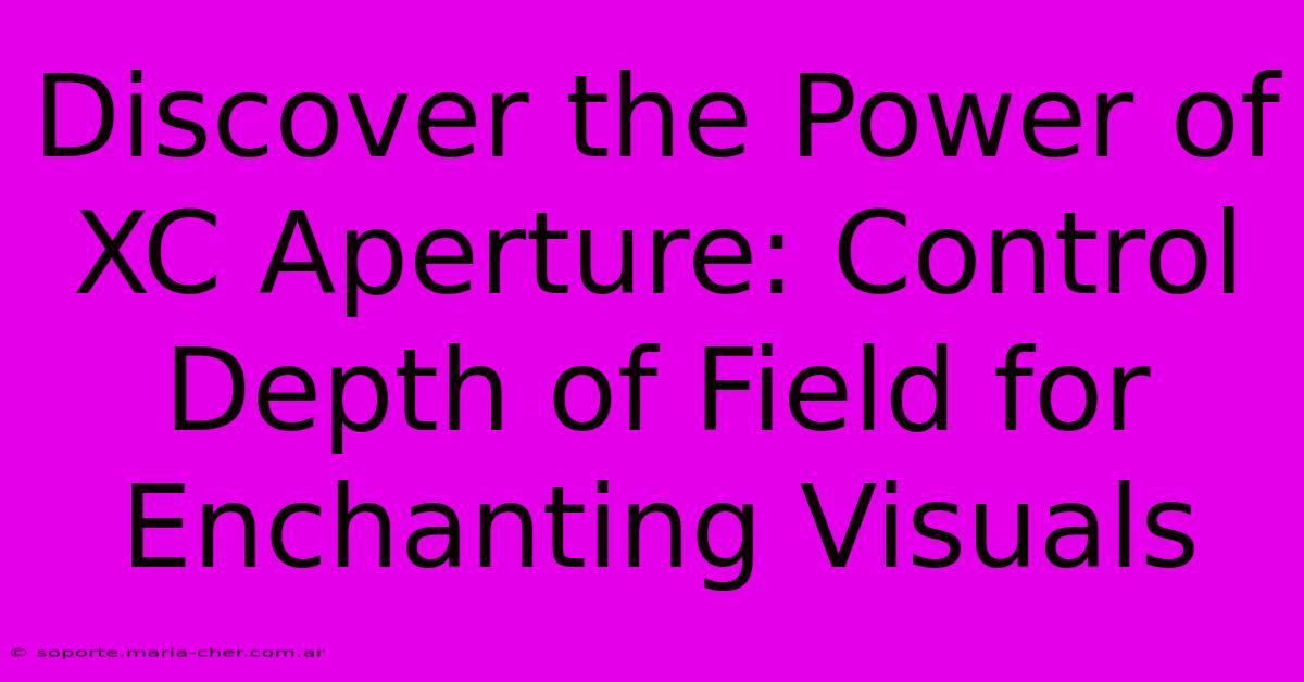 Discover The Power Of XC Aperture: Control Depth Of Field For Enchanting Visuals