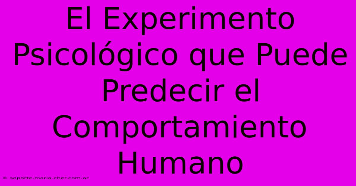 El Experimento Psicológico Que Puede Predecir El Comportamiento Humano