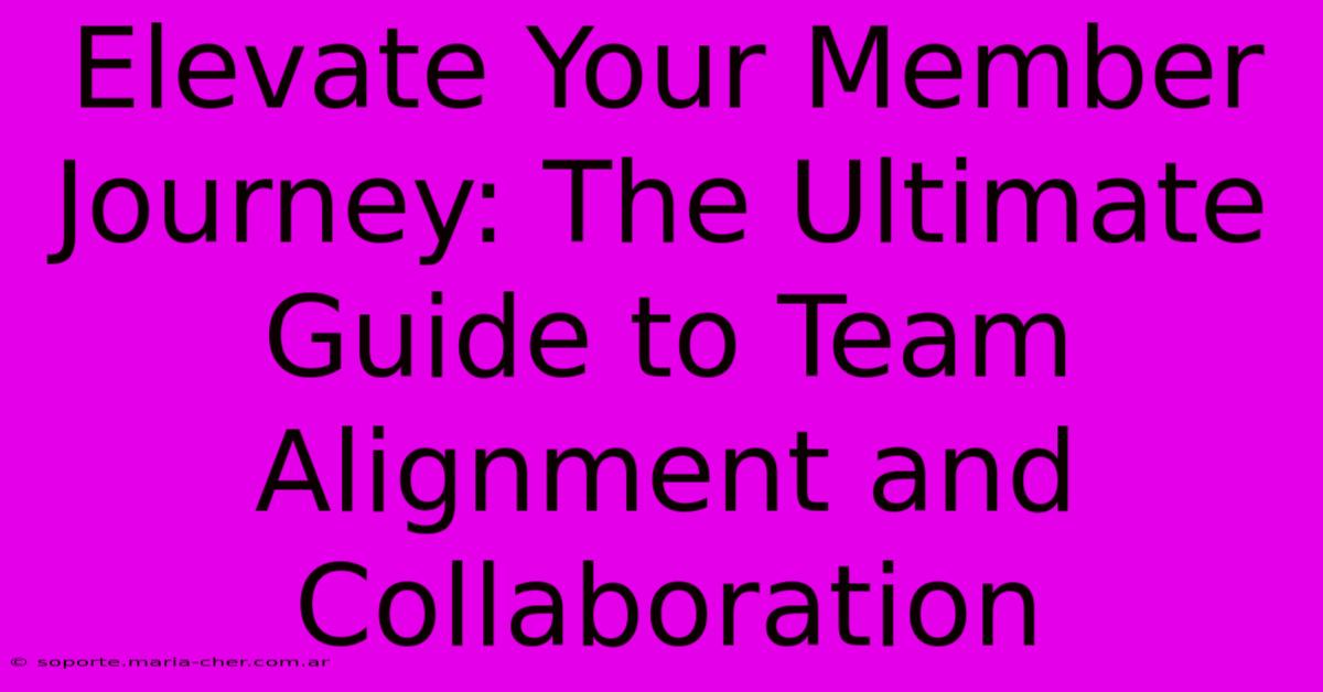 Elevate Your Member Journey: The Ultimate Guide To Team Alignment And Collaboration