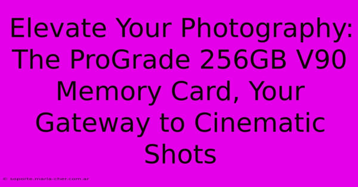 Elevate Your Photography: The ProGrade 256GB V90 Memory Card, Your Gateway To Cinematic Shots