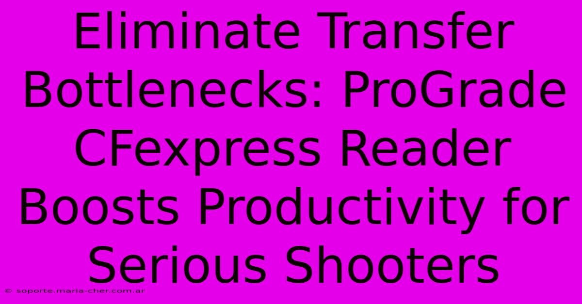 Eliminate Transfer Bottlenecks: ProGrade CFexpress Reader Boosts Productivity For Serious Shooters