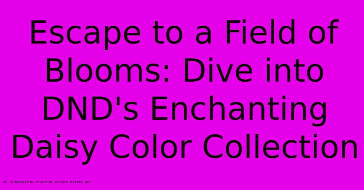 Escape To A Field Of Blooms: Dive Into DND's Enchanting Daisy Color Collection