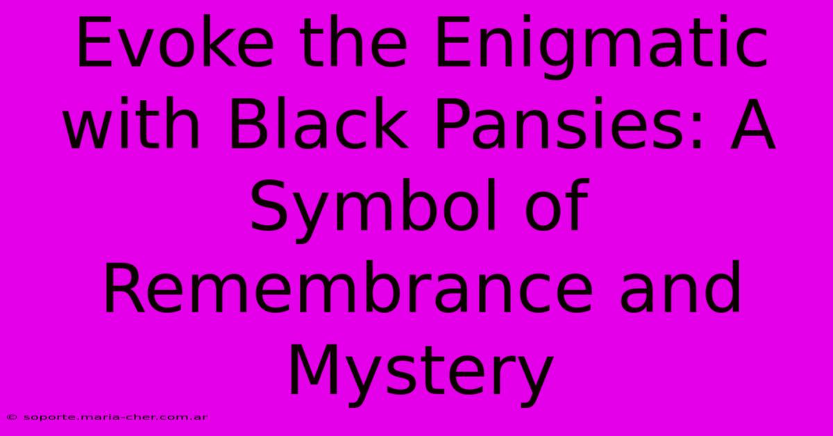 Evoke The Enigmatic With Black Pansies: A Symbol Of Remembrance And Mystery