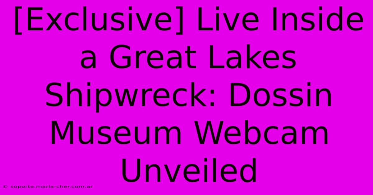 [Exclusive] Live Inside A Great Lakes Shipwreck: Dossin Museum Webcam Unveiled