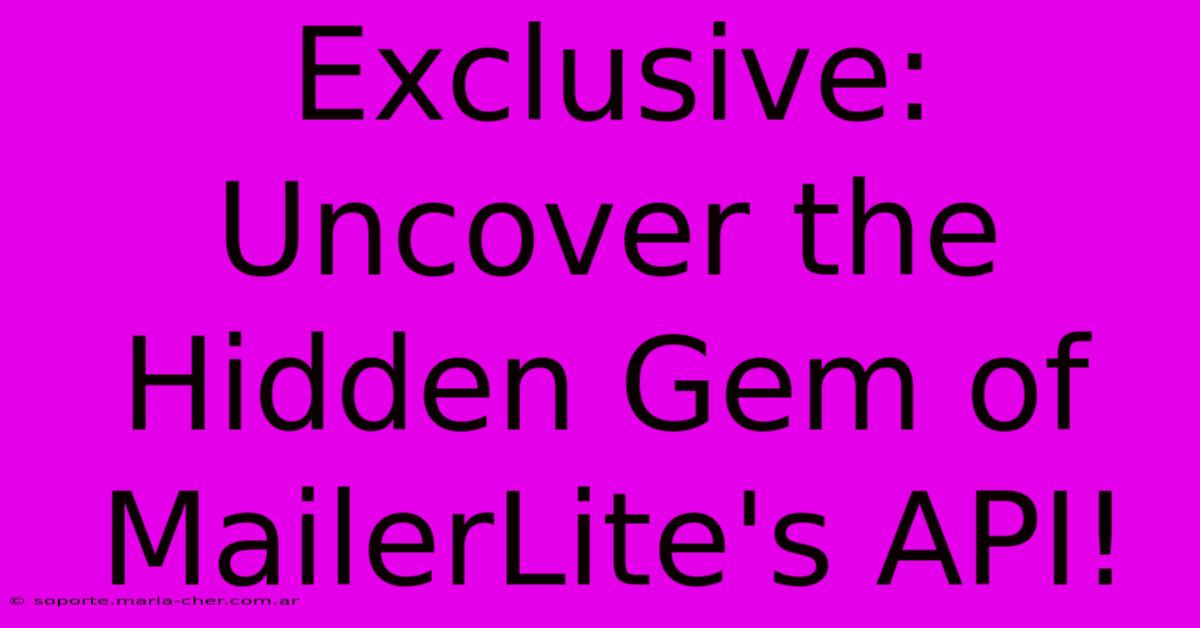 Exclusive: Uncover The Hidden Gem Of MailerLite's API!