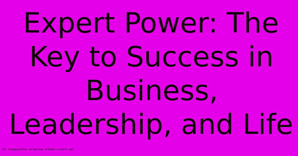 Expert Power: The Key To Success In Business, Leadership, And Life