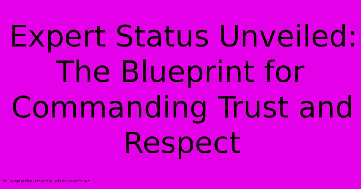 Expert Status Unveiled: The Blueprint For Commanding Trust And Respect