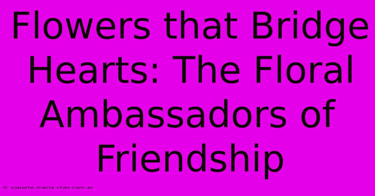 Flowers That Bridge Hearts: The Floral Ambassadors Of Friendship