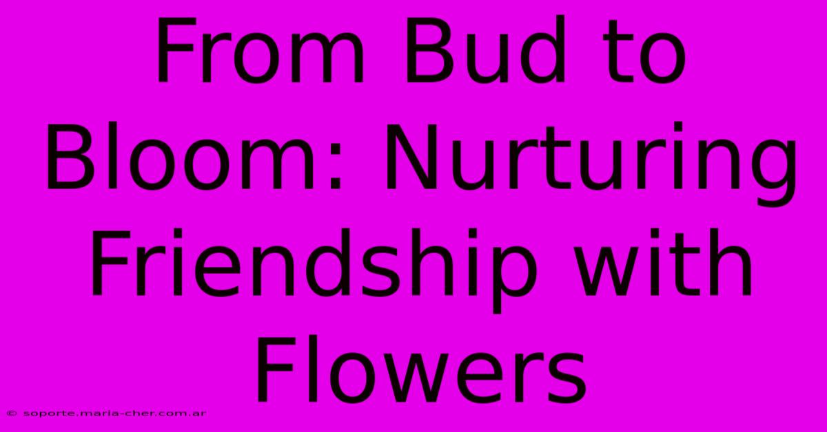 From Bud To Bloom: Nurturing Friendship With Flowers