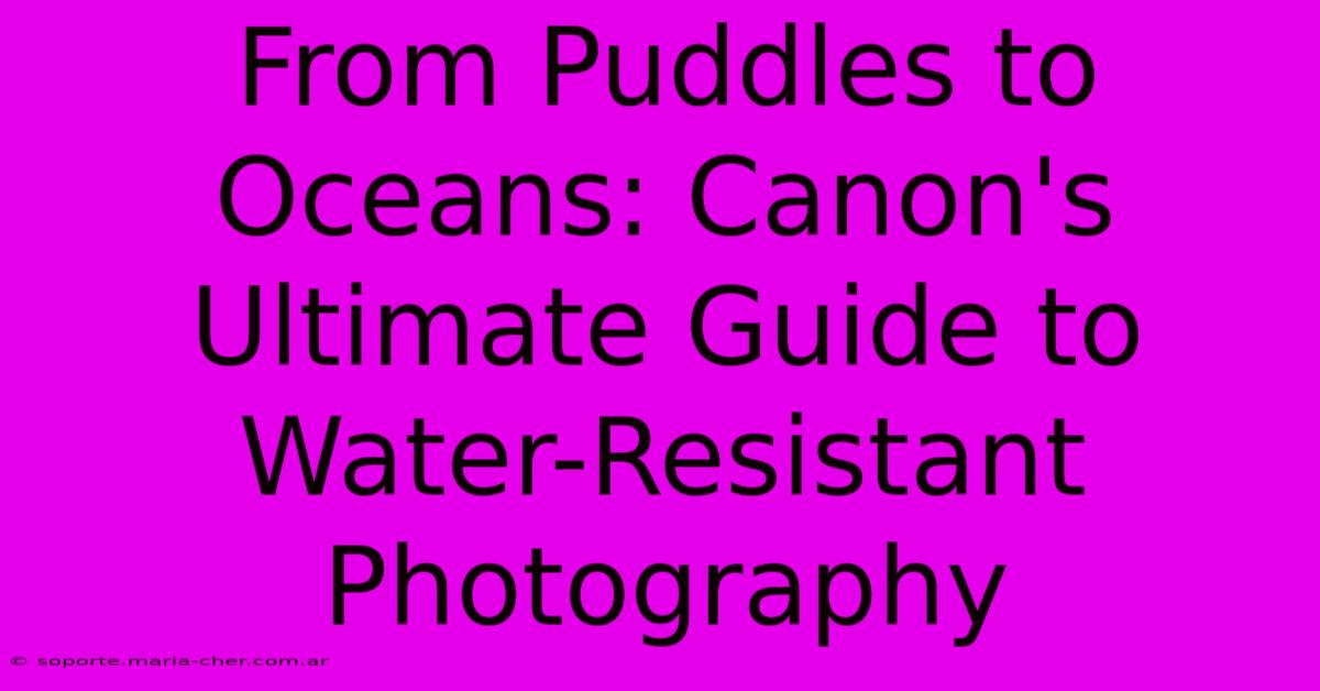 From Puddles To Oceans: Canon's Ultimate Guide To Water-Resistant Photography