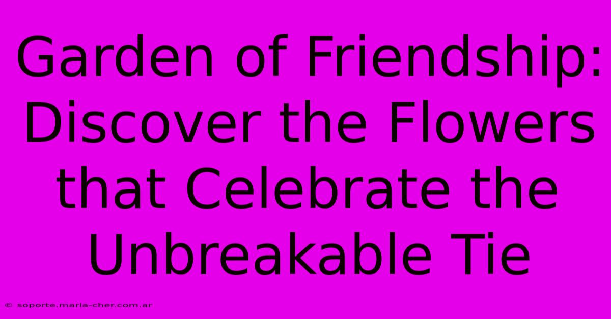 Garden Of Friendship: Discover The Flowers That Celebrate The Unbreakable Tie