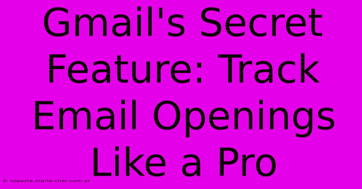 Gmail's Secret Feature: Track Email Openings Like A Pro