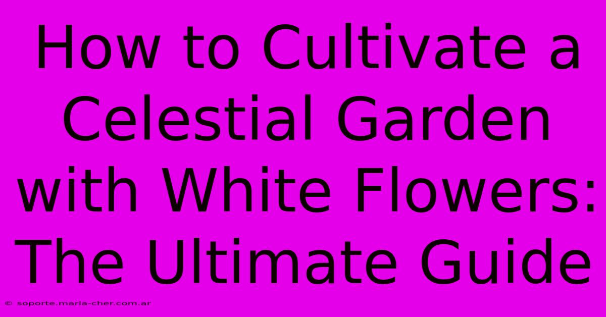 How To Cultivate A Celestial Garden With White Flowers: The Ultimate Guide