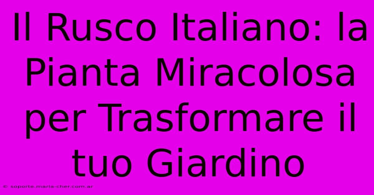 Il Rusco Italiano: La Pianta Miracolosa Per Trasformare Il Tuo Giardino