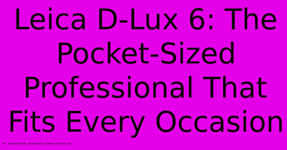 Leica D-Lux 6: The Pocket-Sized Professional That Fits Every Occasion