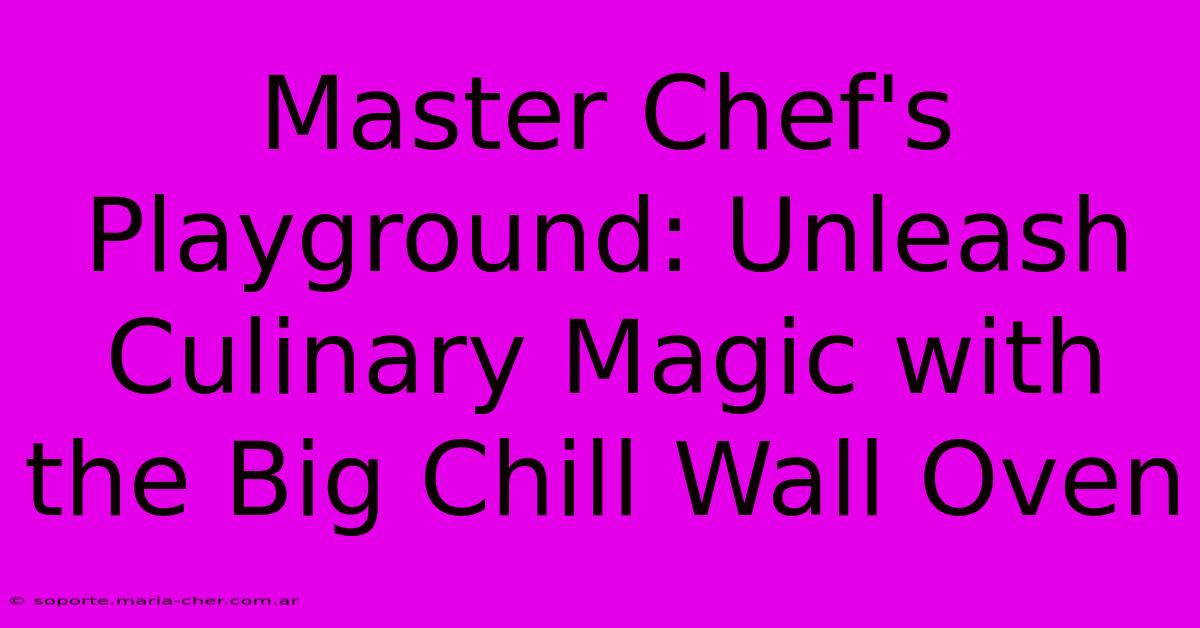 Master Chef's Playground: Unleash Culinary Magic With The Big Chill Wall Oven