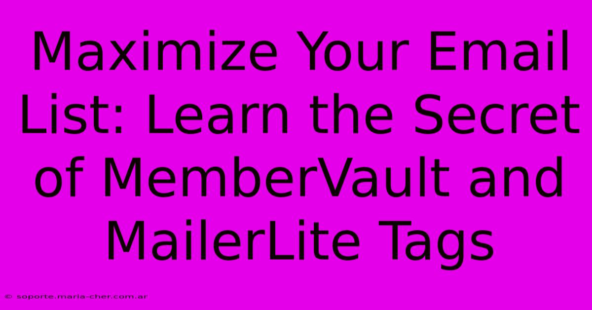 Maximize Your Email List: Learn The Secret Of MemberVault And MailerLite Tags