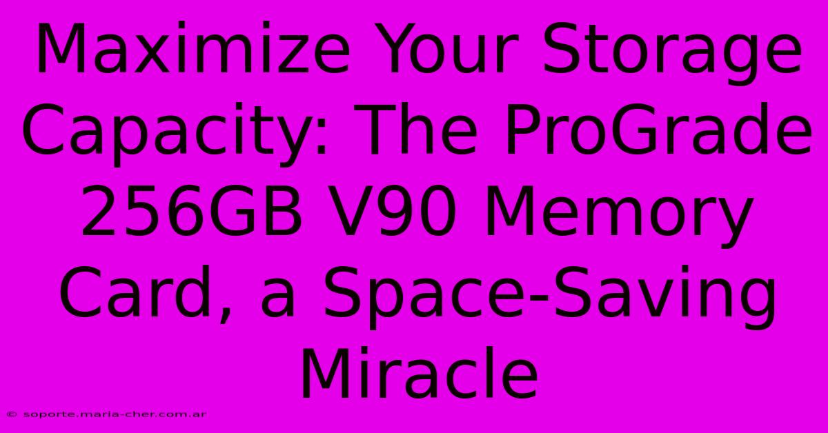 Maximize Your Storage Capacity: The ProGrade 256GB V90 Memory Card, A Space-Saving Miracle