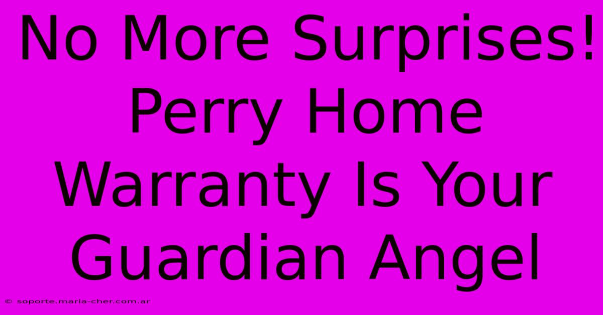 No More Surprises! Perry Home Warranty Is Your Guardian Angel