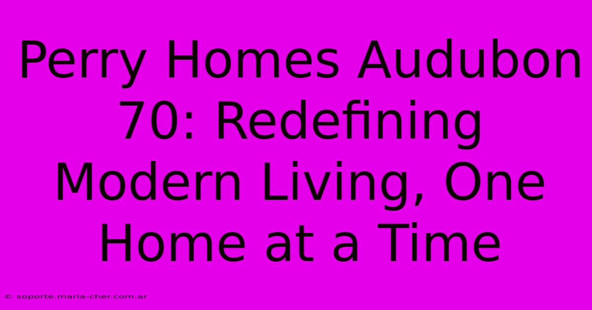 Perry Homes Audubon 70: Redefining Modern Living, One Home At A Time