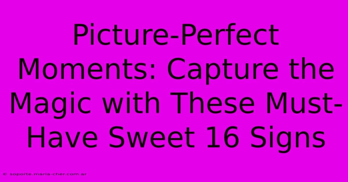 Picture-Perfect Moments: Capture The Magic With These Must-Have Sweet 16 Signs