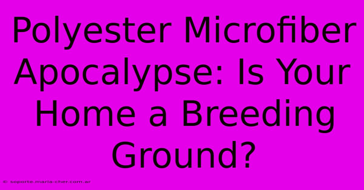 Polyester Microfiber Apocalypse: Is Your Home A Breeding Ground?