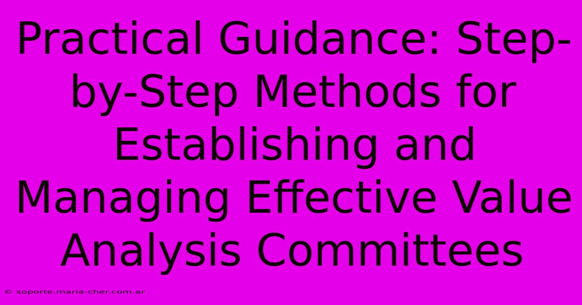 Practical Guidance: Step-by-Step Methods For Establishing And Managing Effective Value Analysis Committees