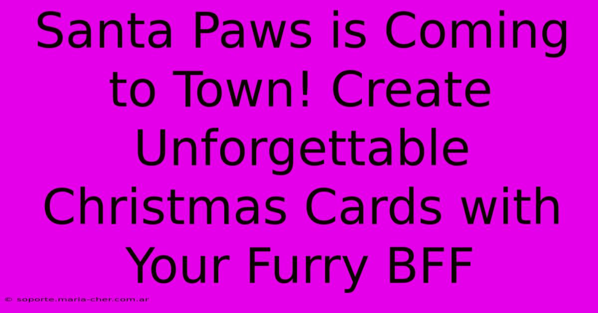 Santa Paws Is Coming To Town! Create Unforgettable Christmas Cards With Your Furry BFF