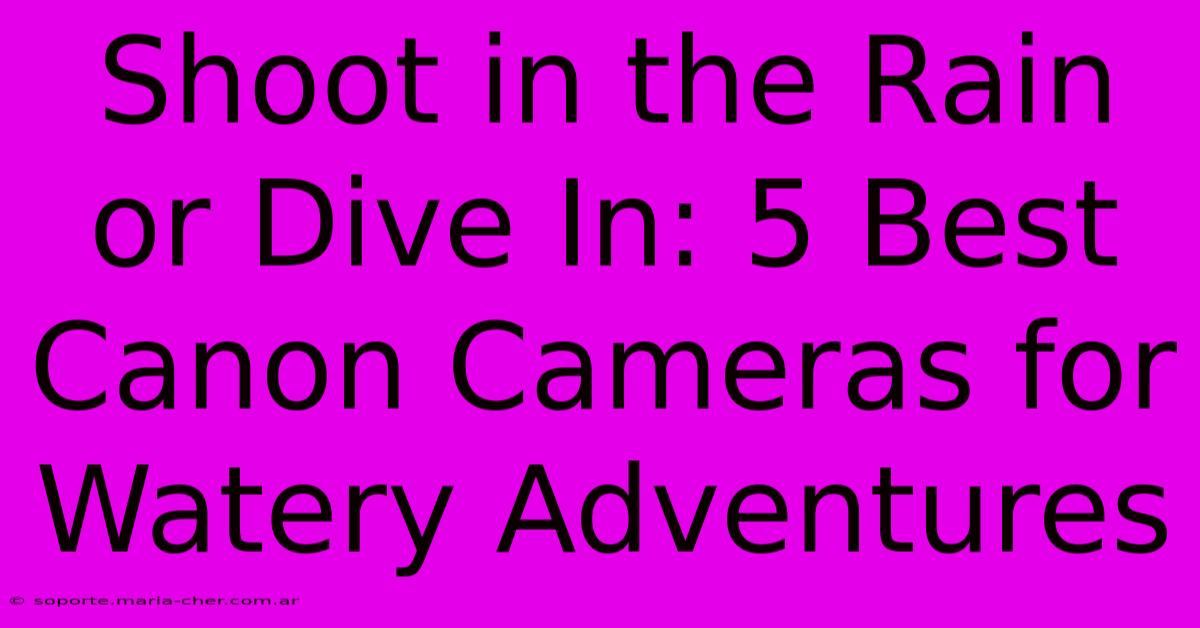 Shoot In The Rain Or Dive In: 5 Best Canon Cameras For Watery Adventures