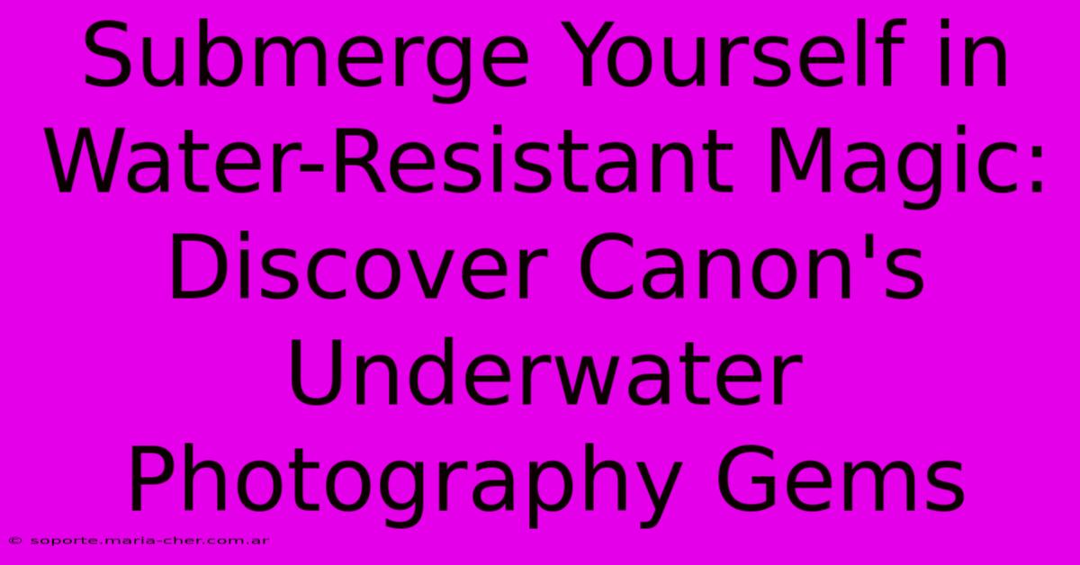 Submerge Yourself In Water-Resistant Magic: Discover Canon's Underwater Photography Gems