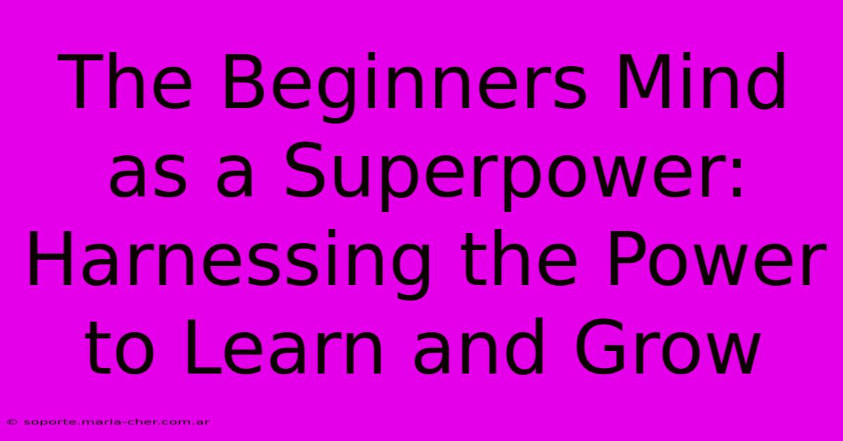 The Beginners Mind As A Superpower: Harnessing The Power To Learn And Grow