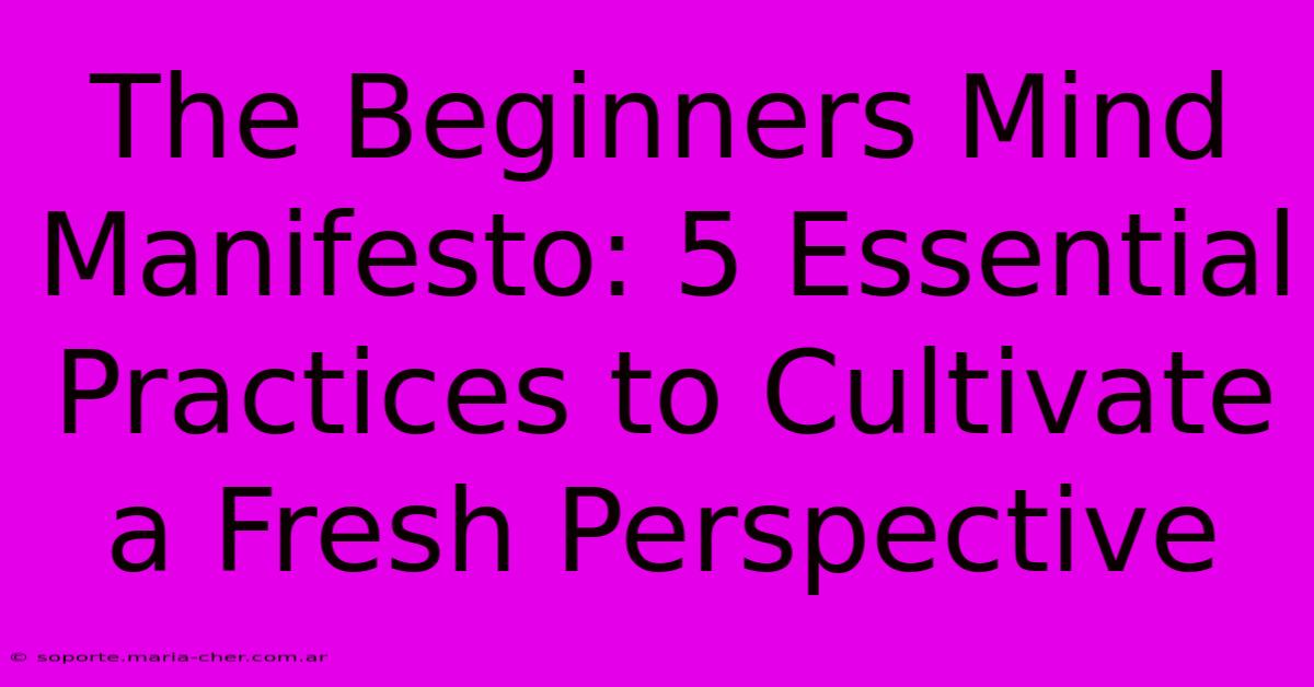 The Beginners Mind Manifesto: 5 Essential Practices To Cultivate A Fresh Perspective