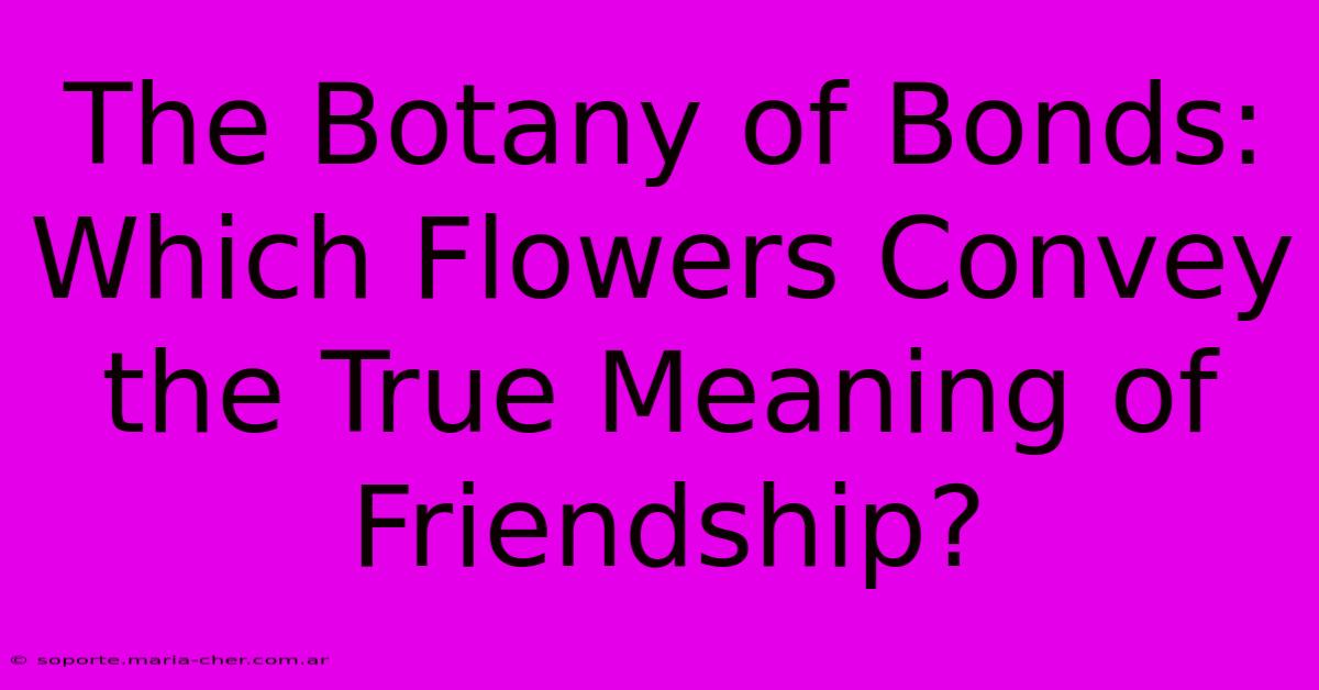 The Botany Of Bonds: Which Flowers Convey The True Meaning Of Friendship?