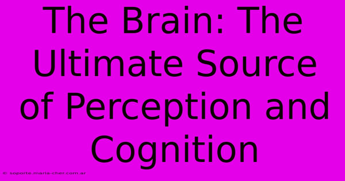 The Brain: The Ultimate Source Of Perception And Cognition