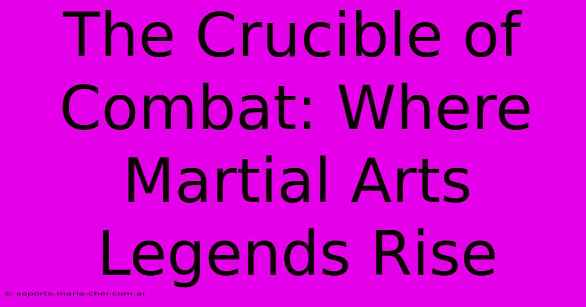 The Crucible Of Combat: Where Martial Arts Legends Rise