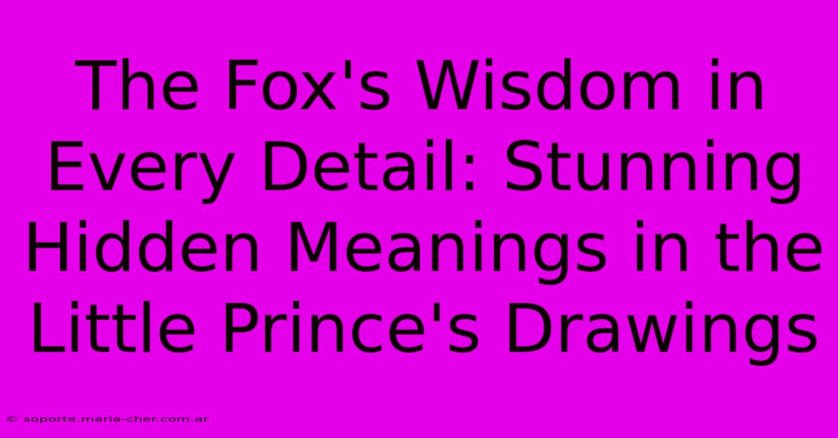 The Fox's Wisdom In Every Detail: Stunning Hidden Meanings In The Little Prince's Drawings