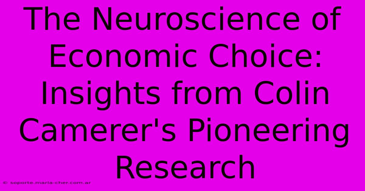 The Neuroscience Of Economic Choice: Insights From Colin Camerer's Pioneering Research