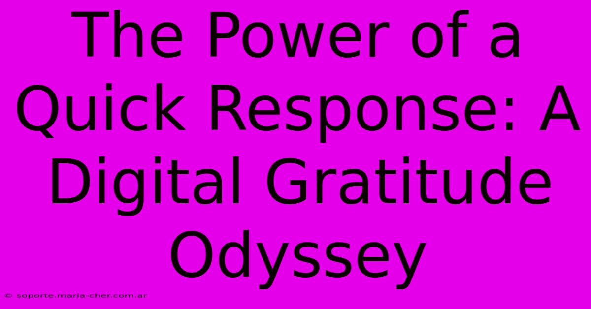 The Power Of A Quick Response: A Digital Gratitude Odyssey