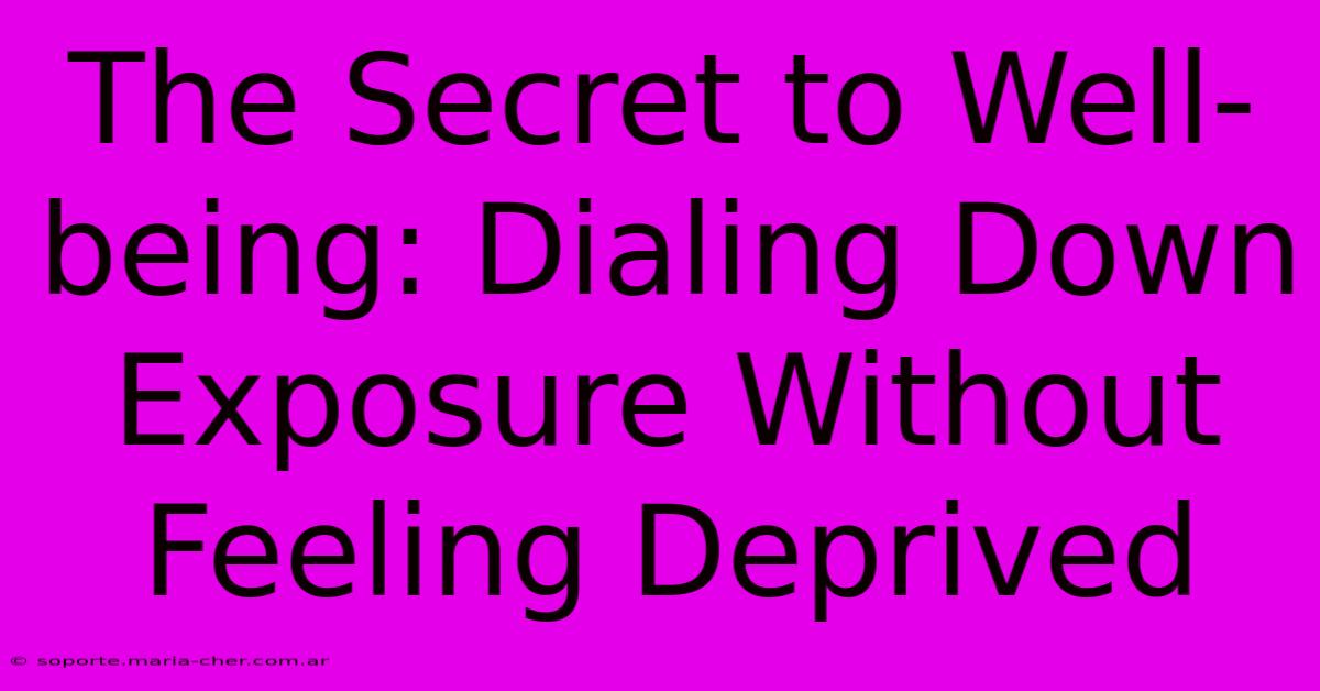 The Secret To Well-being: Dialing Down Exposure Without Feeling Deprived